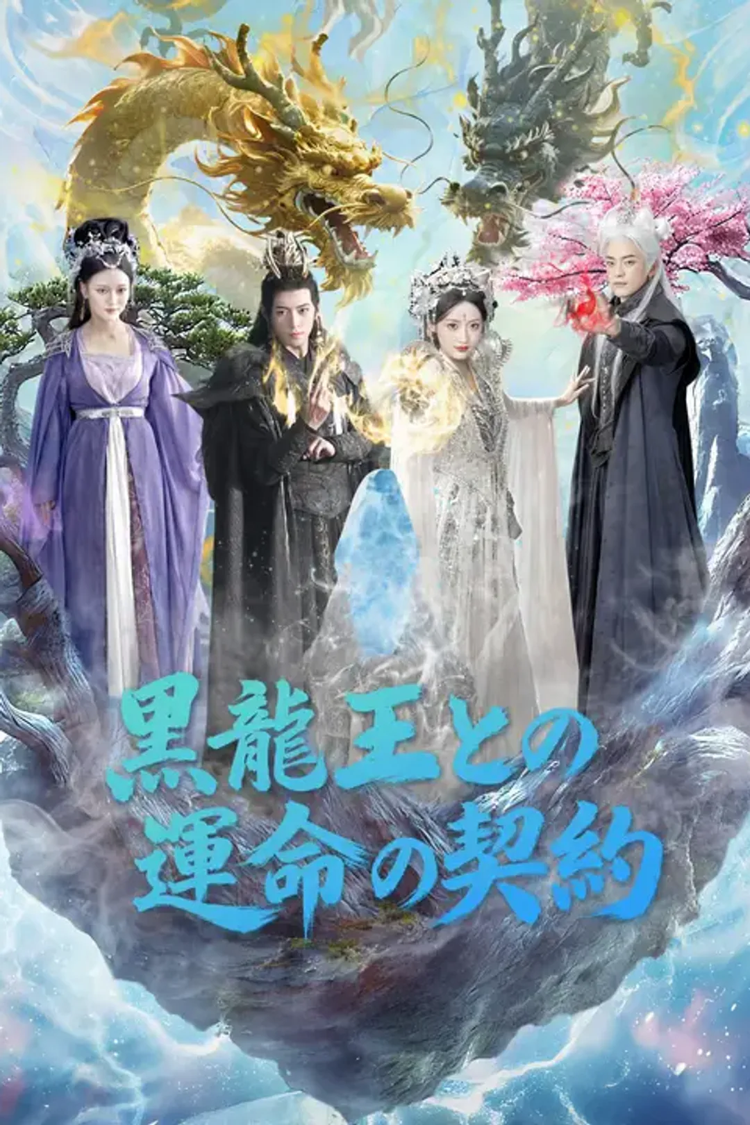 黒龍王との運命の契約のポスター