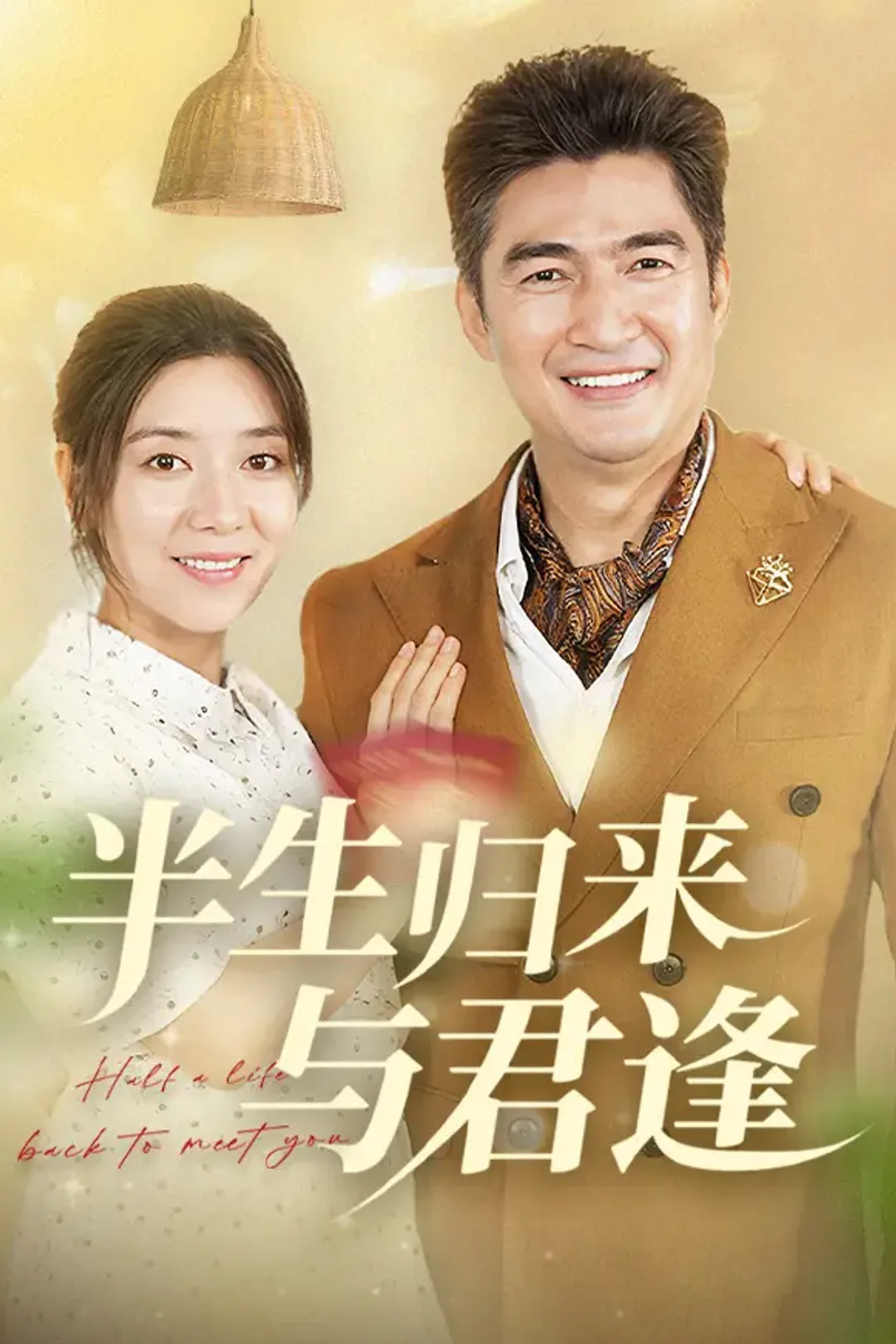 《半生归来与君逢》海报