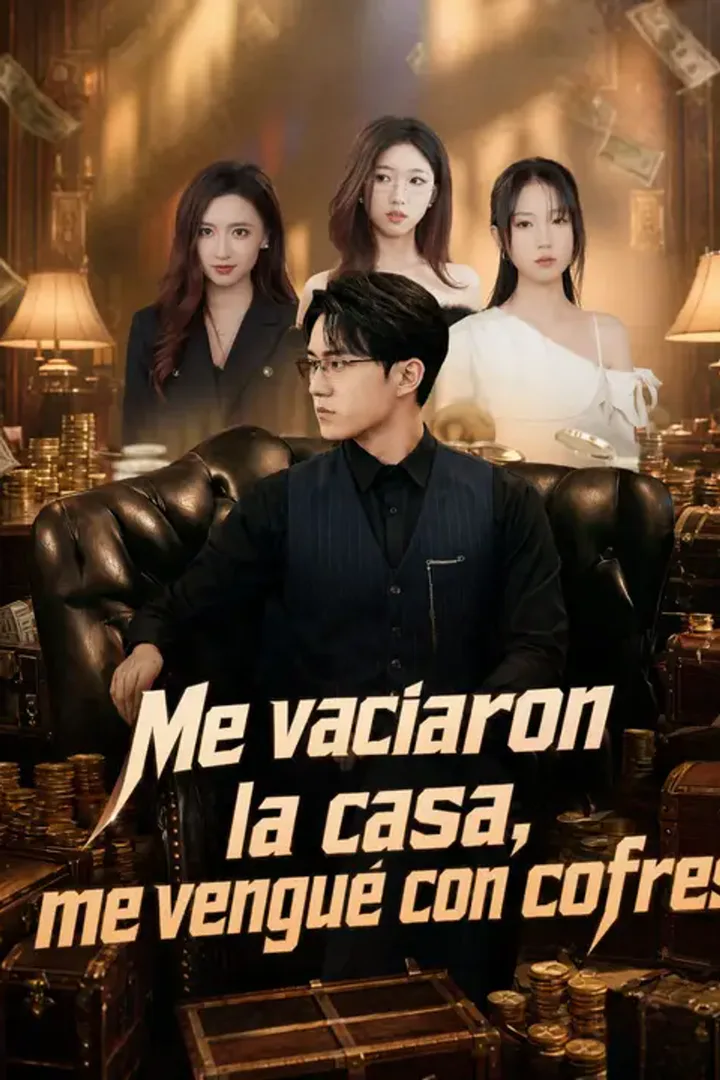 Póster de Me vaciaron la casa, me vengué con cofres