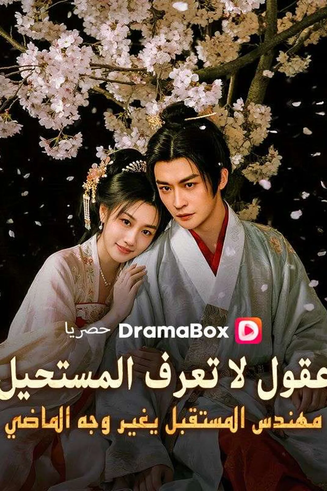 ملصق مسلسل «عقول لا تعرف المستحيل: مهندس المستقبل يغير وجه الماضي»