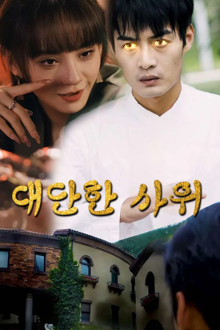 대단한 사위 포스터