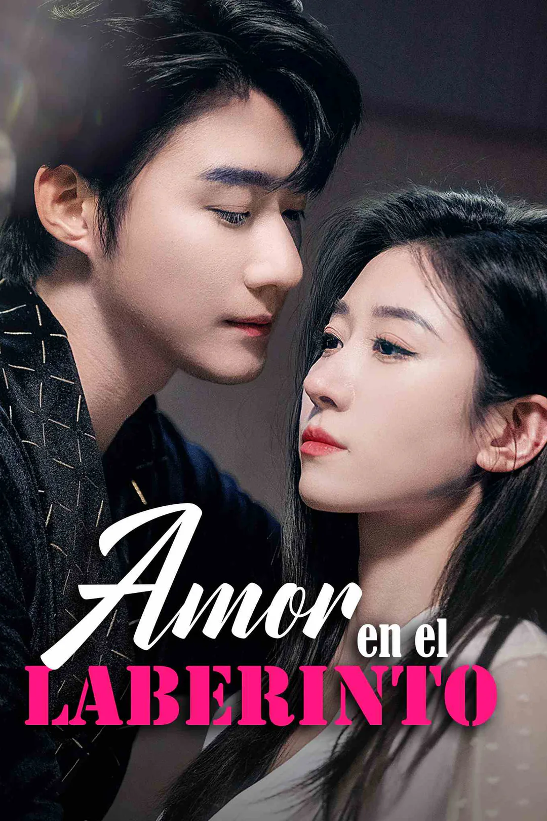 Póster de Amor en el Laberinto