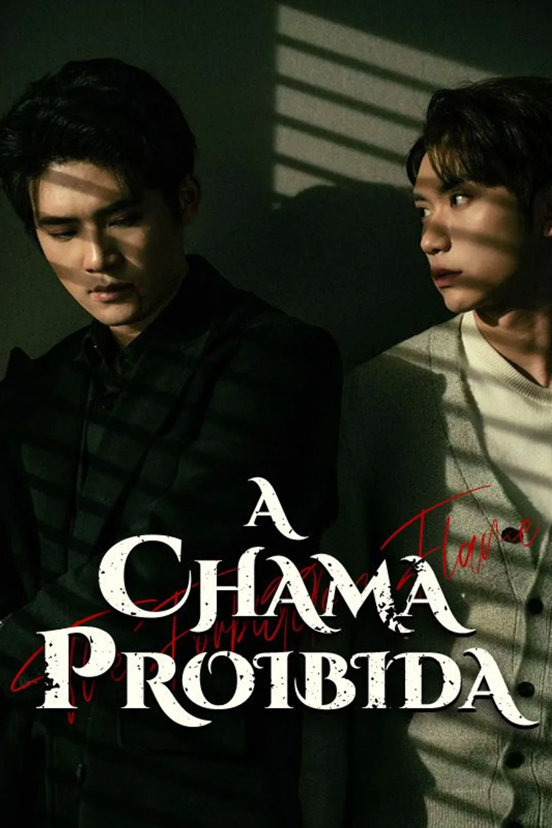 Pôster de A Chama Proibida