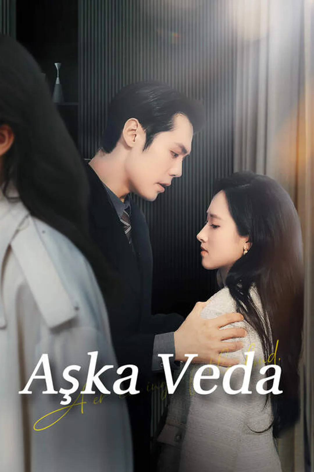 Aşka Veda afişi