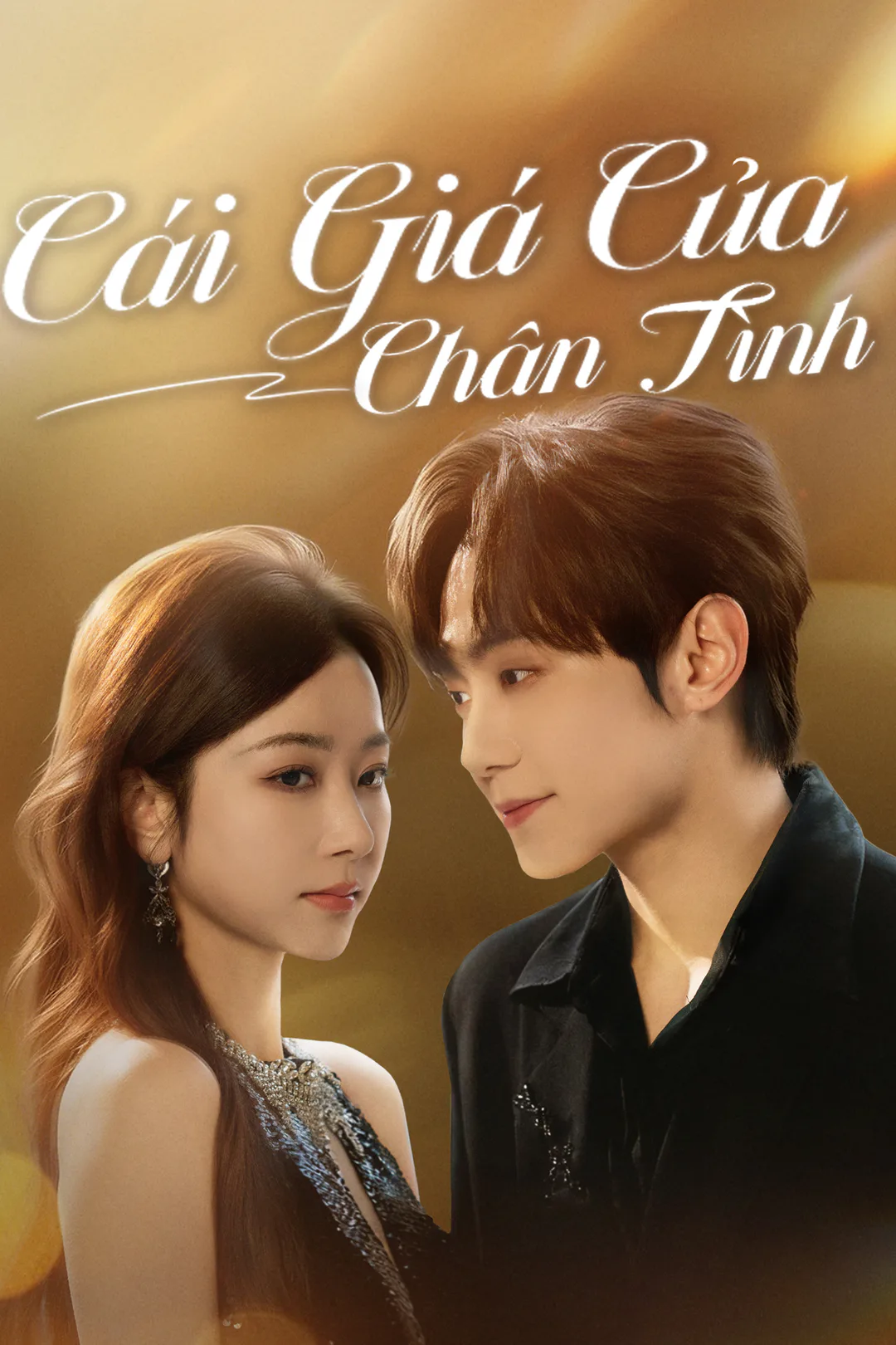 Poster phim Cái Giá Của Chân Tình