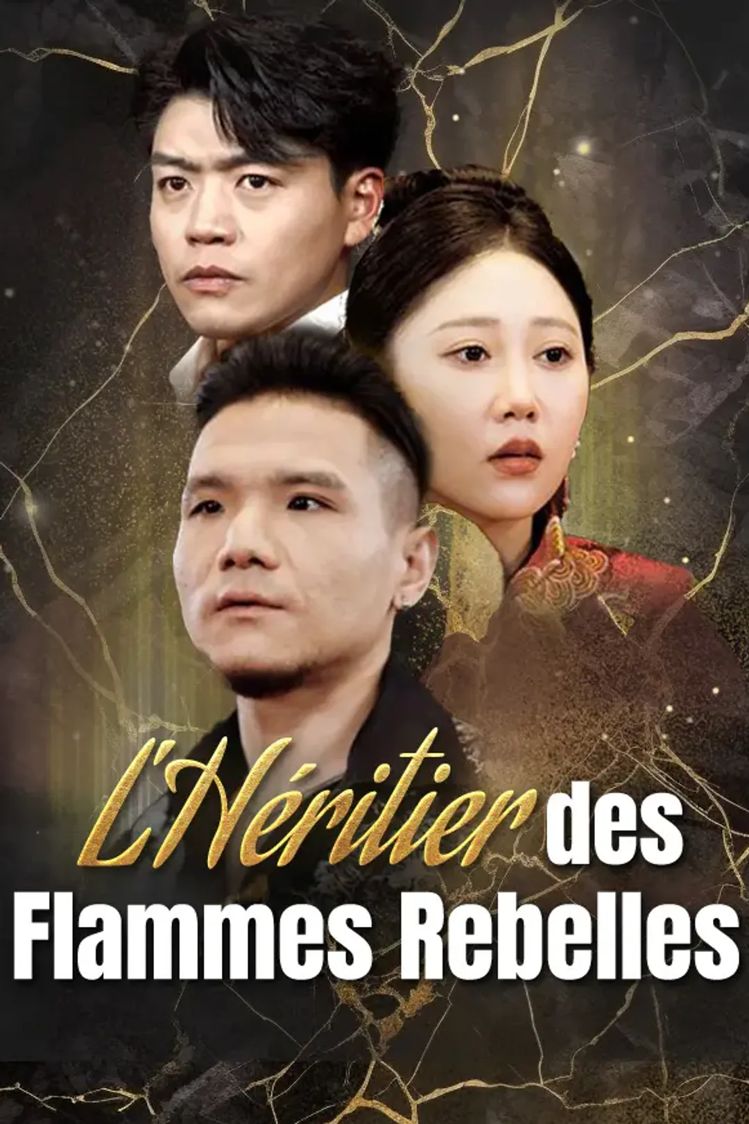 Affiche de L'Héritier des Flammes Rebelles
