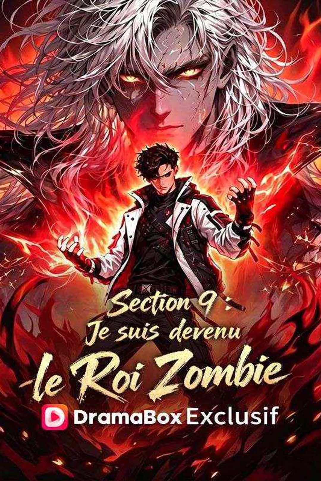 Affiche de Section 9 : Je suis devenu le Roi Zombie