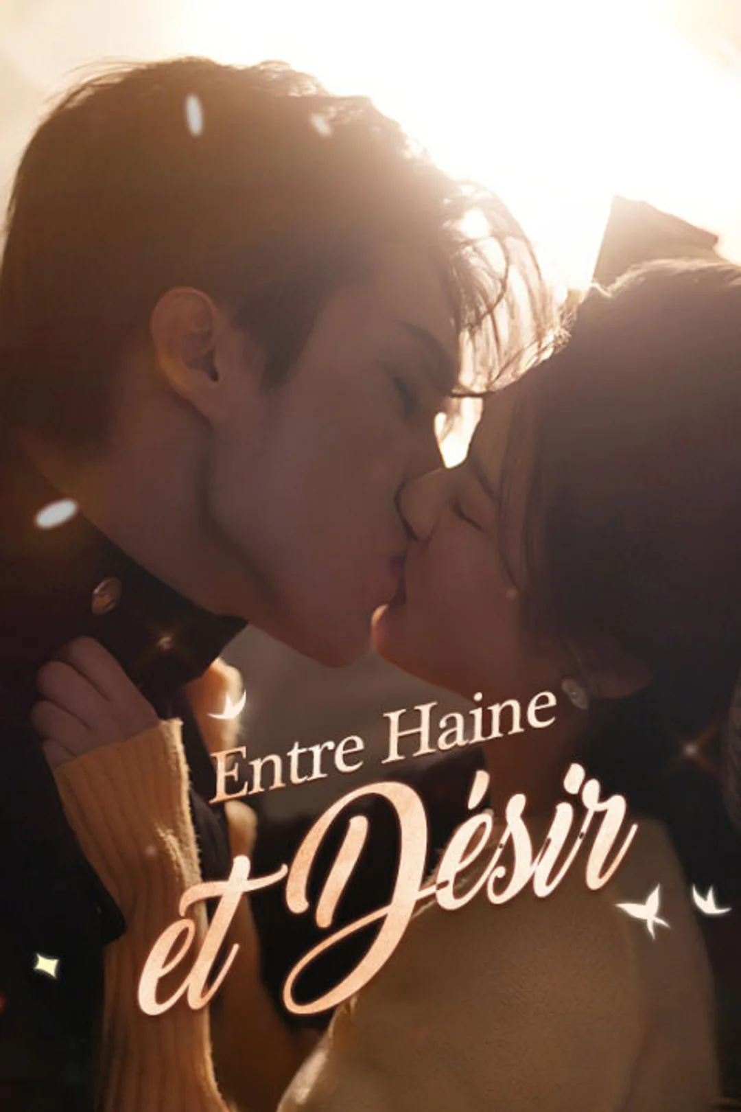 Affiche de Entre Haine et Désir