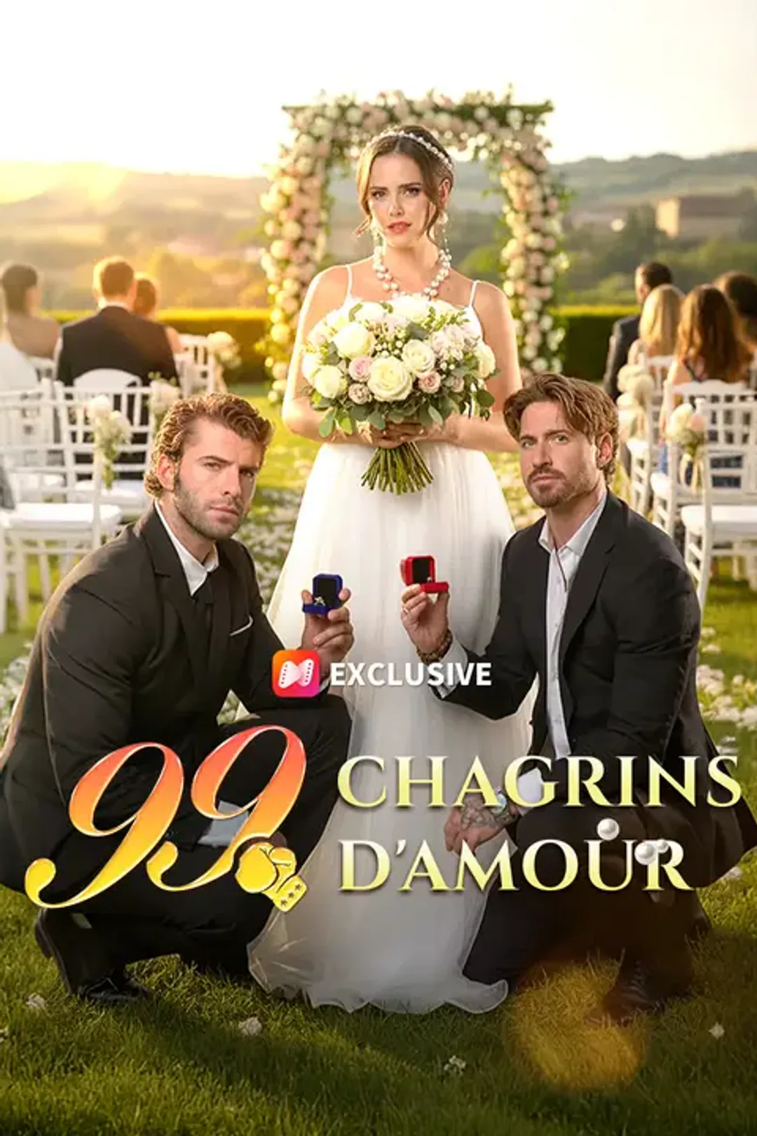 Affiche de 99 Chagrins d'amour