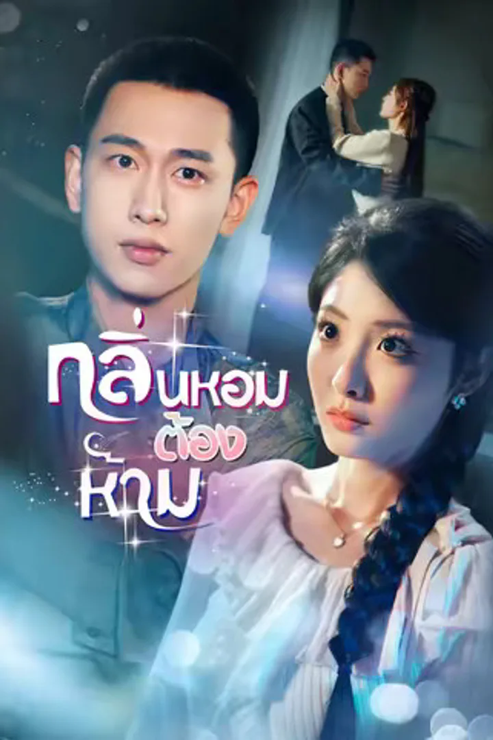 โปสเตอร์ กลิ่นหอมต้องห้าม