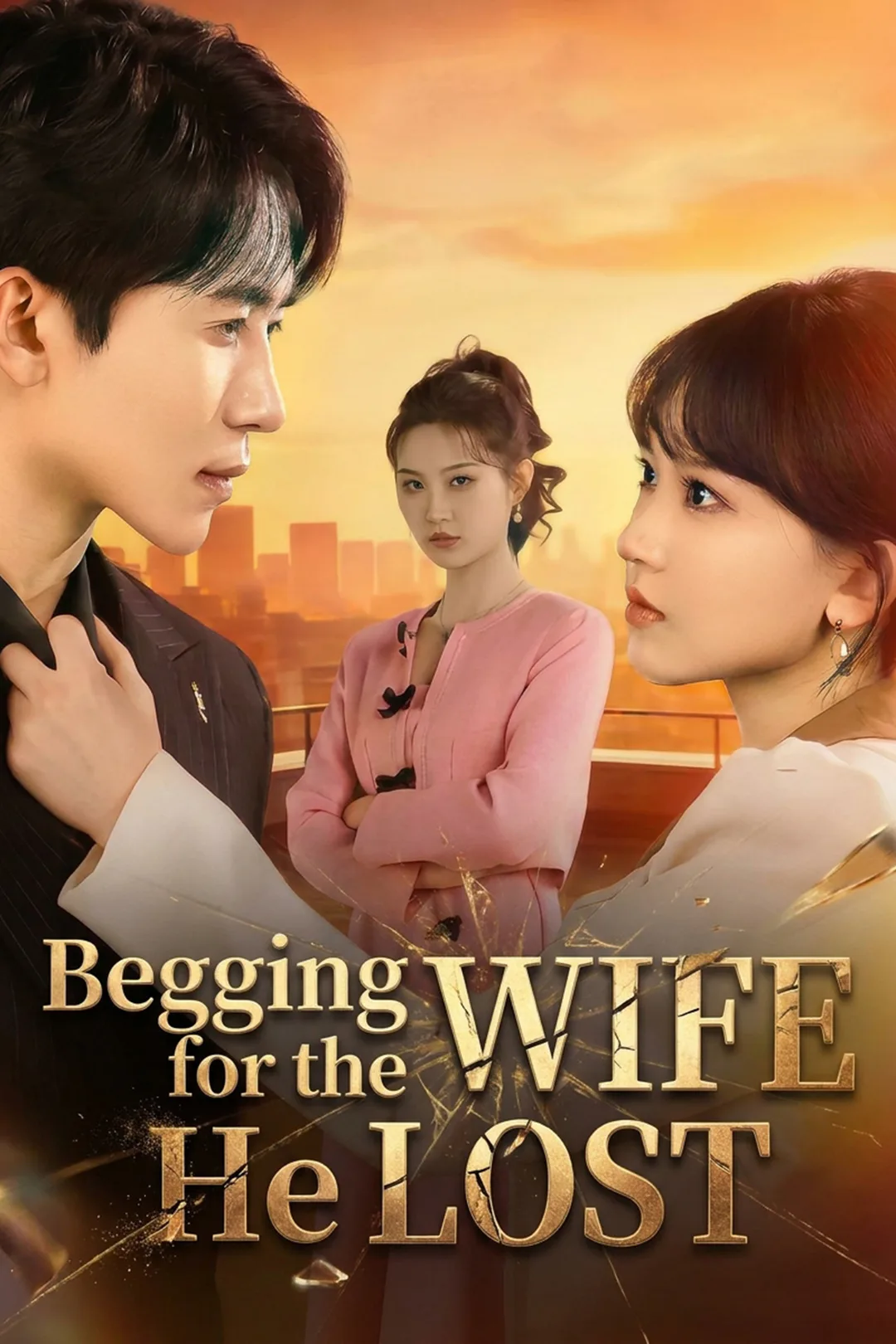 Begging for the Wife He Lost poster