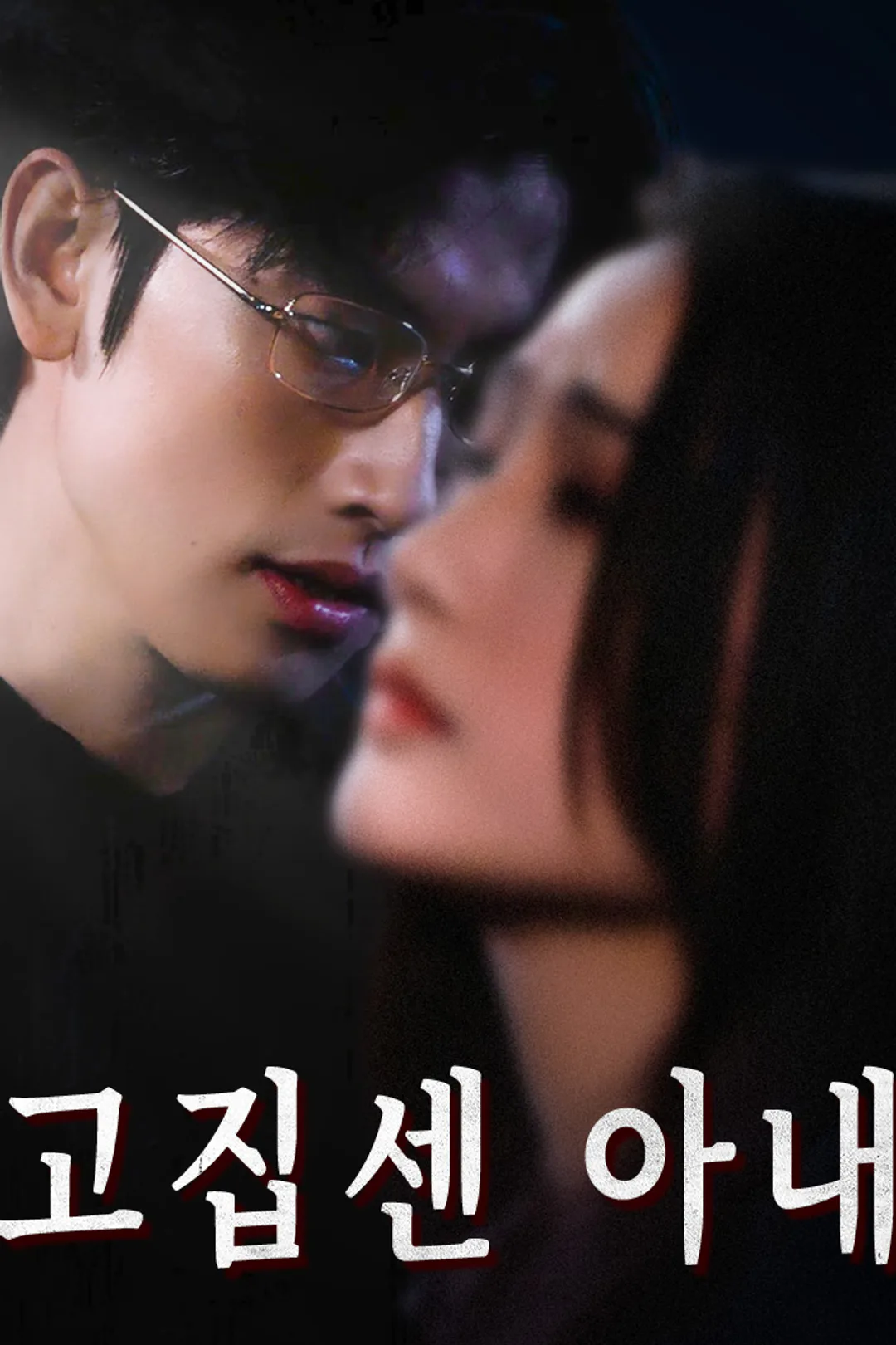 고집센 아내 포스터