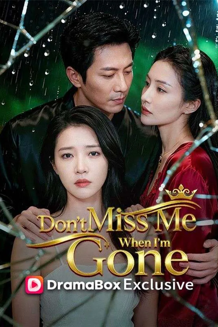 Don't Miss Me When I'm Gone poster