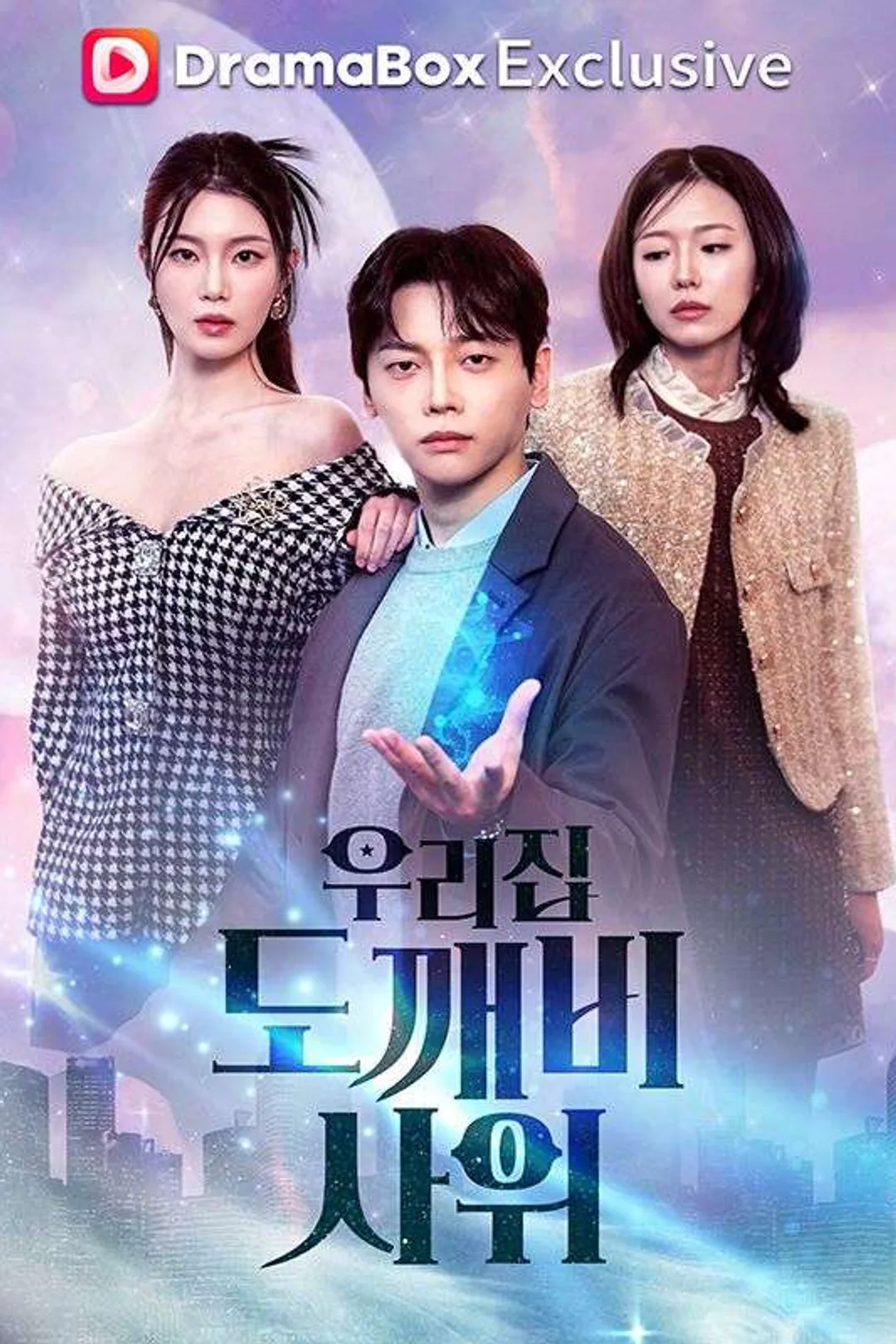우리집 도깨비 사위 포스터