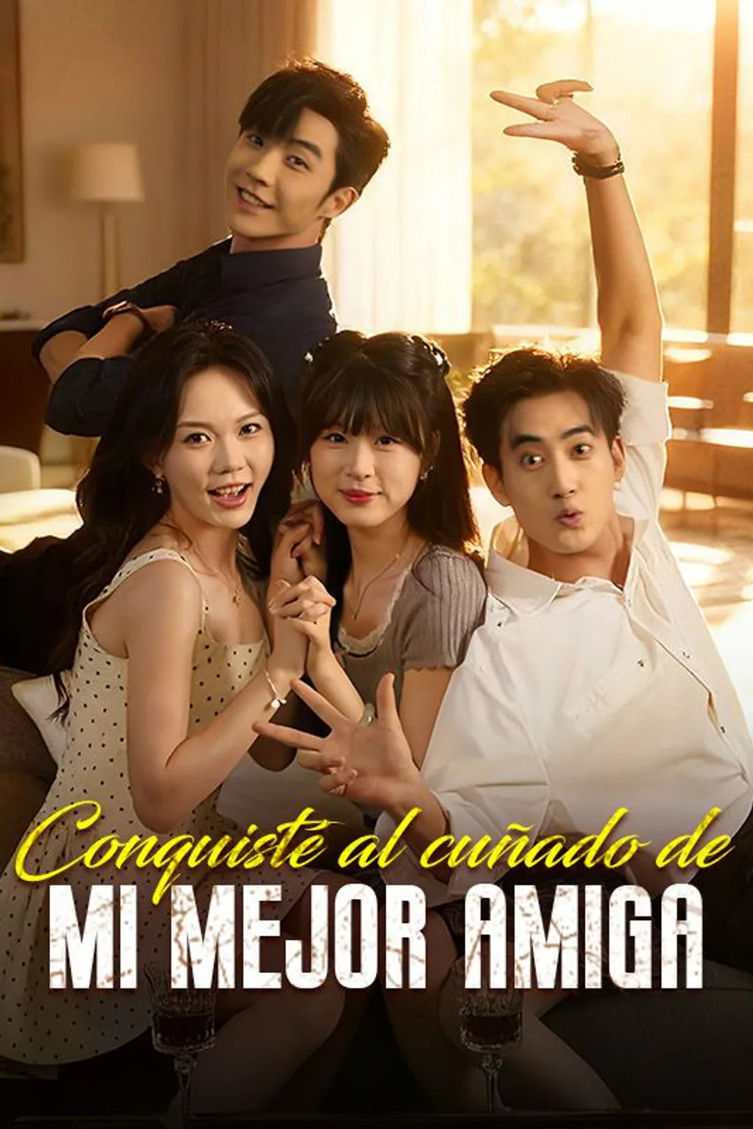 Póster de Conquisté al cuñado de mi mejor amiga