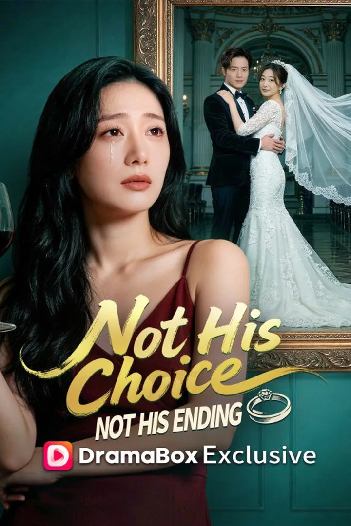 Not His Choice, Not His Ending poster