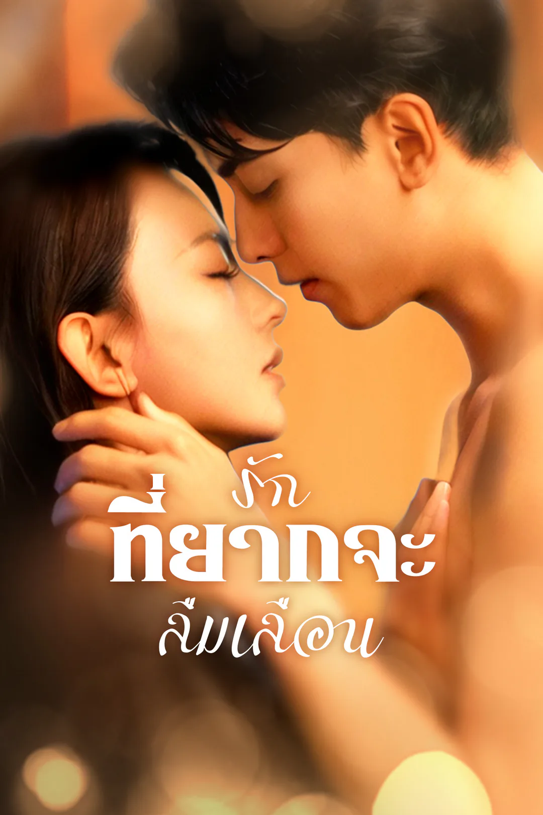 โปสเตอร์ รักที่ยากจะลืมเลือน
