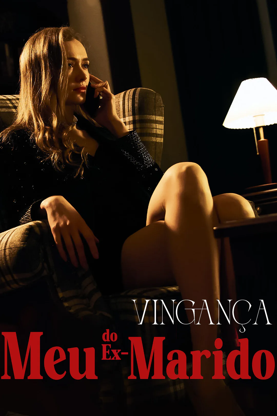 Pôster de Vingança do Meu Ex-Marido