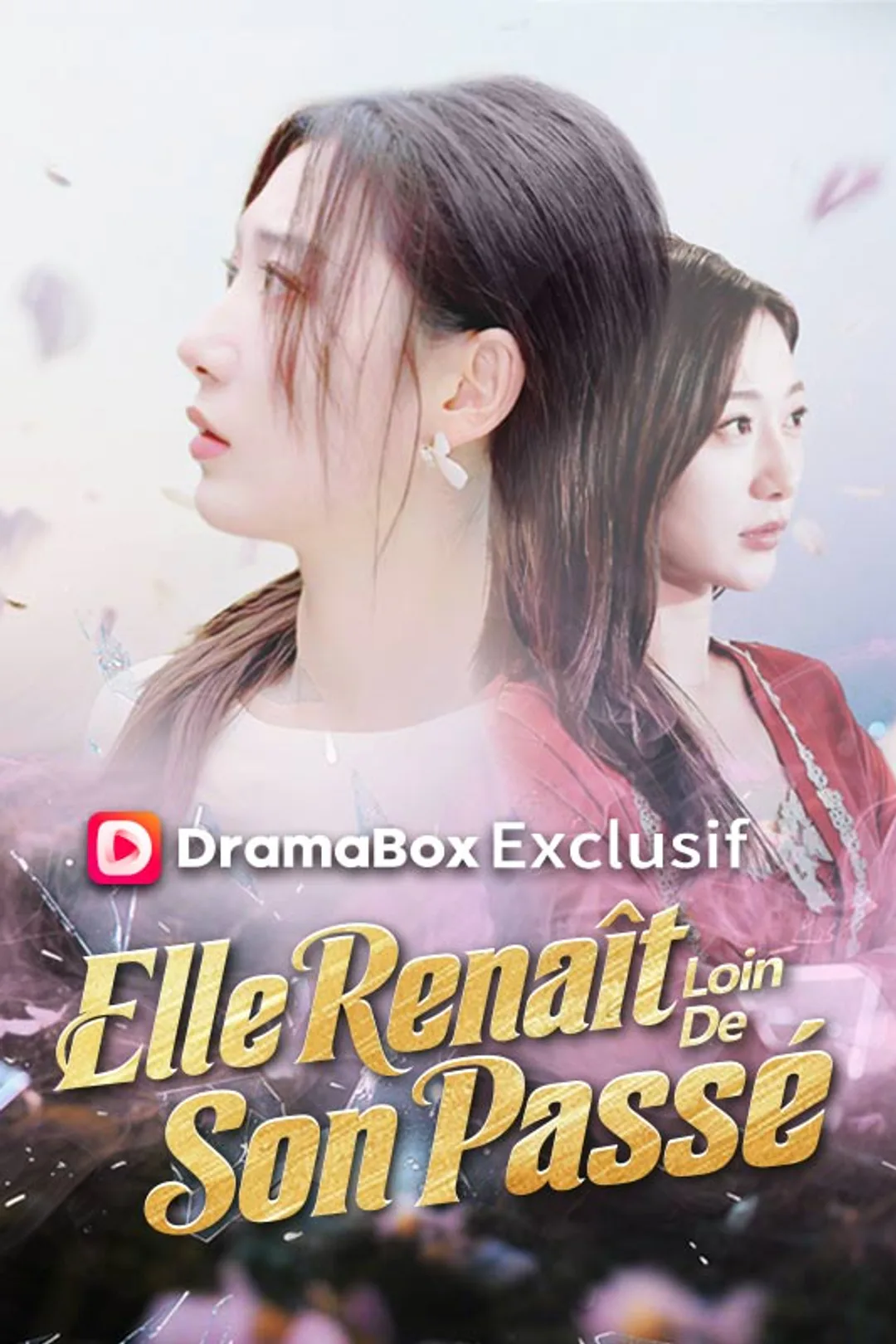 Affiche de Elle Renaît Loin De Son Passé