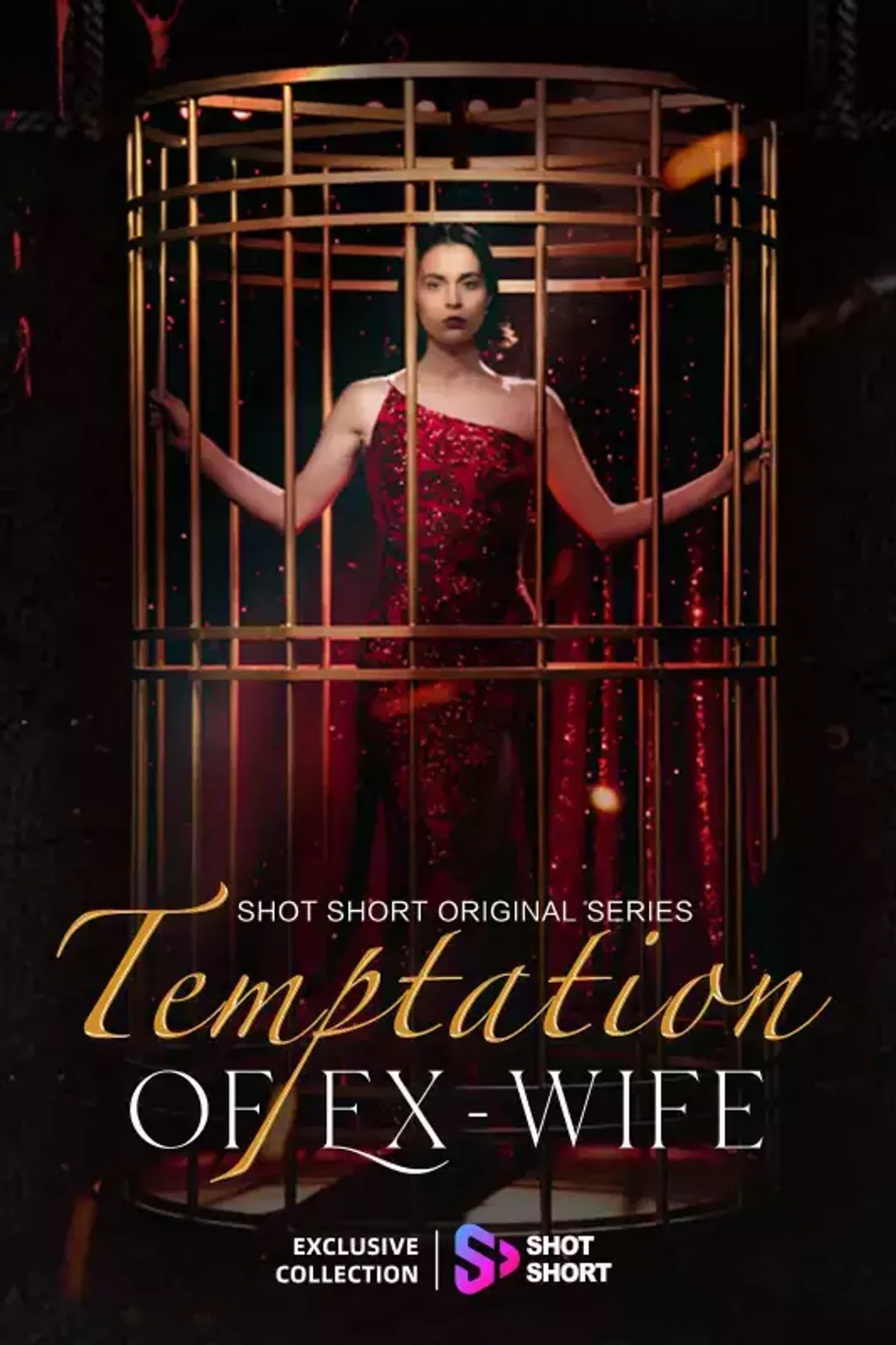 Temptation of the Ex-Wife poster