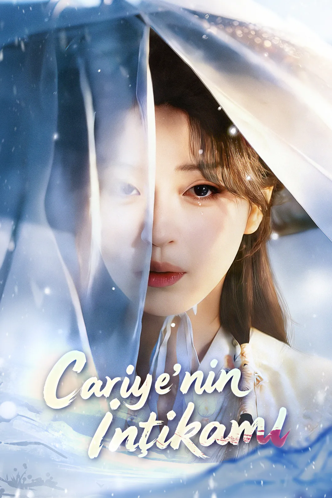Cariye’nin İntikamı afişi
