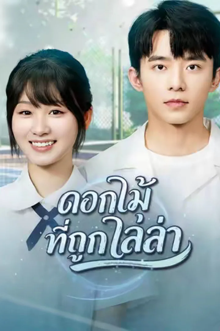โปสเตอร์ ดอกไม้ที่ถูกไล่ล่า