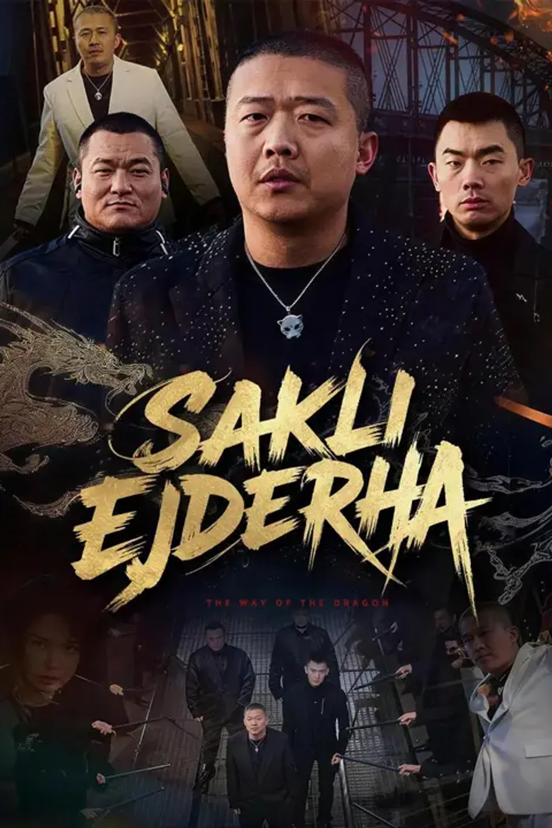 Saklı Ejderha afişi