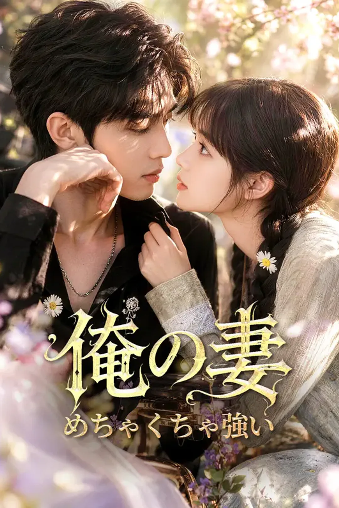 俺の妻、めちゃくちゃ強いのポスター