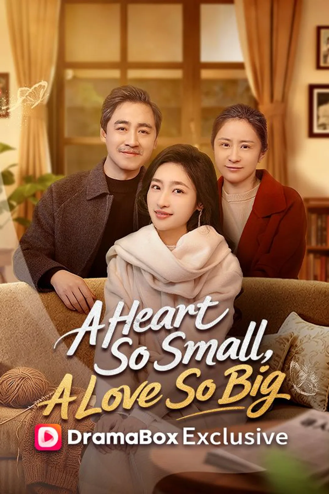 A Heart So Small, A Love So Big poster