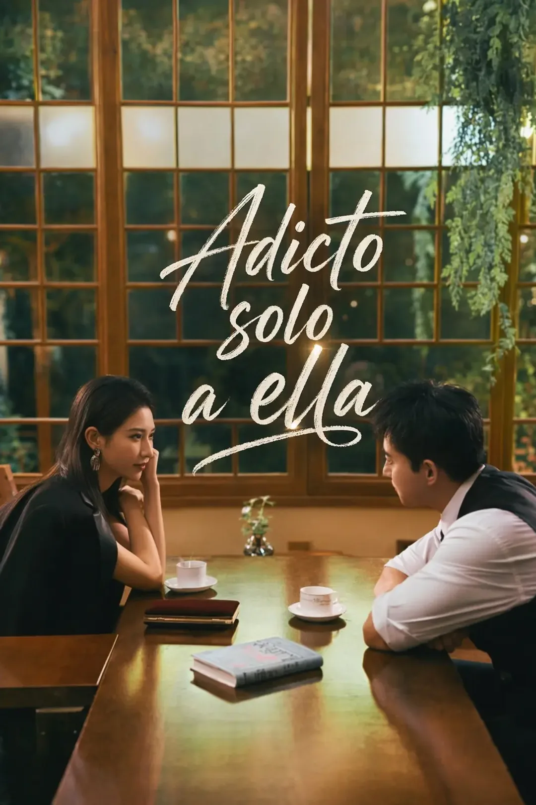 Póster de Adicto solo a ella