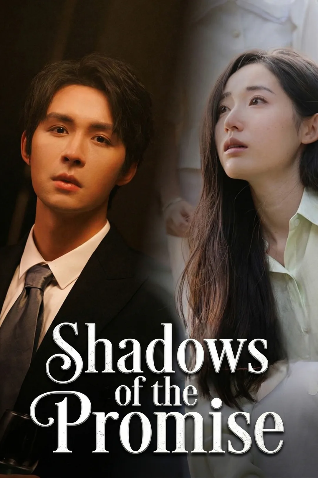 Shadows of the Promise poster