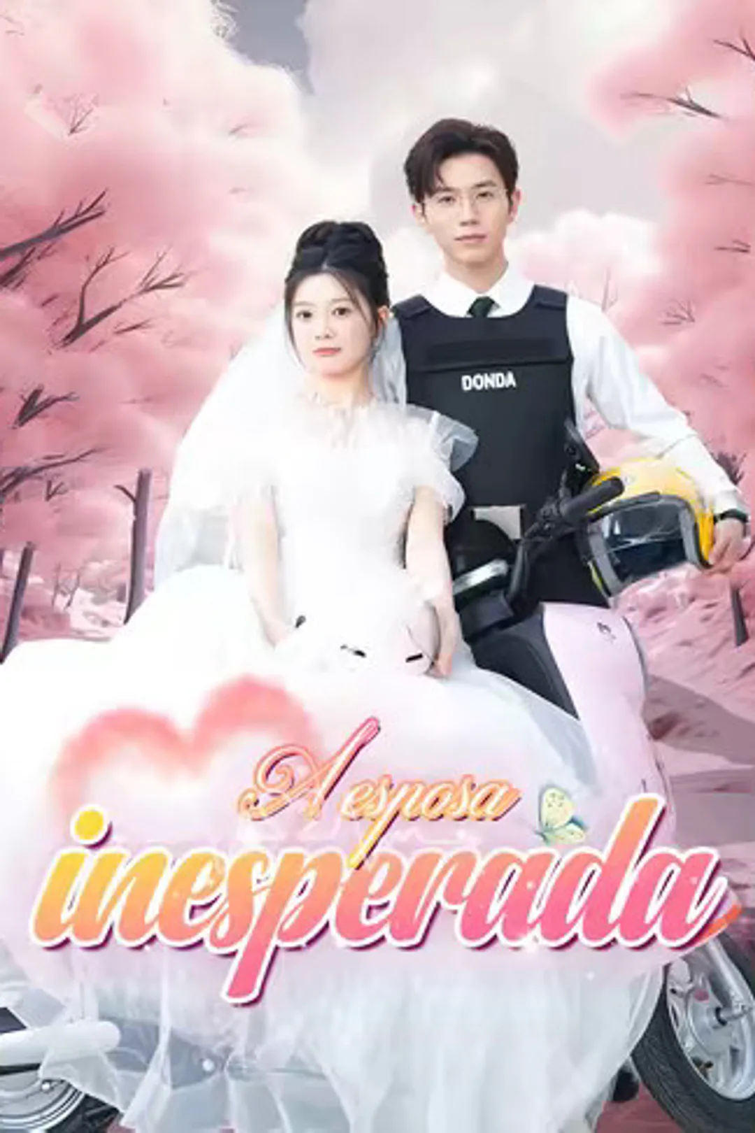 Pôster de A esposa inesperada