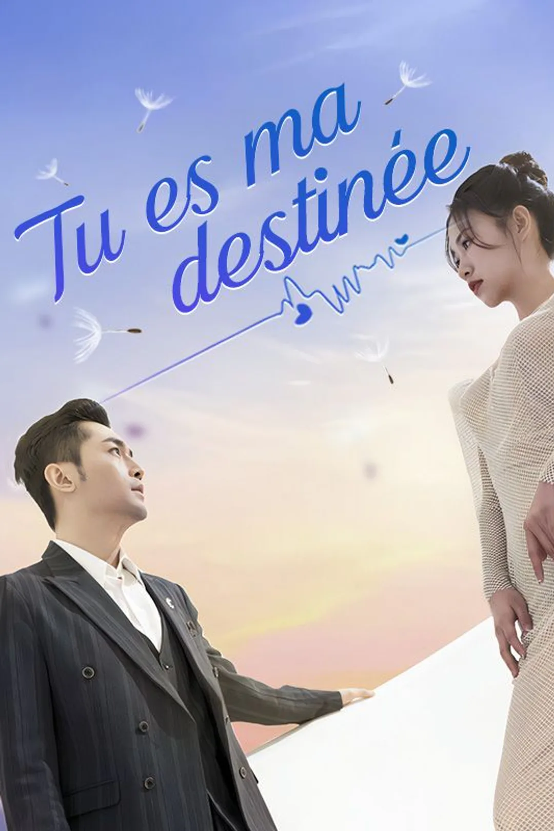 Affiche de Tu Es Ma Destinée
