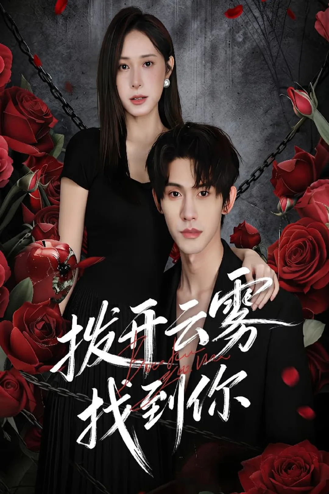 《拨开云雾找到你》海报