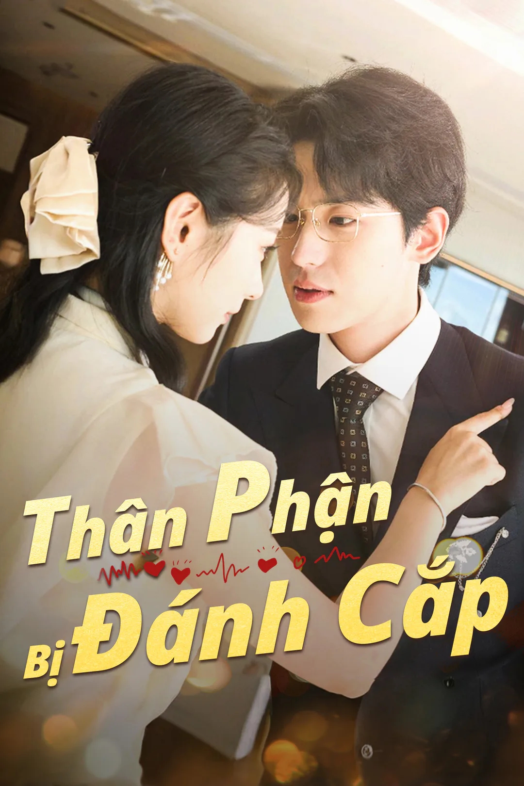Poster phim Thân Phận Bị Đánh Cắp