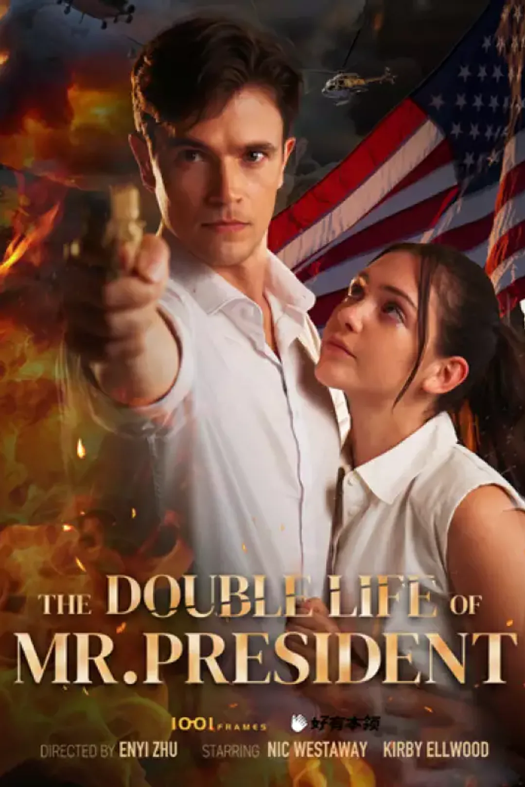 The Double Life Mr President poster