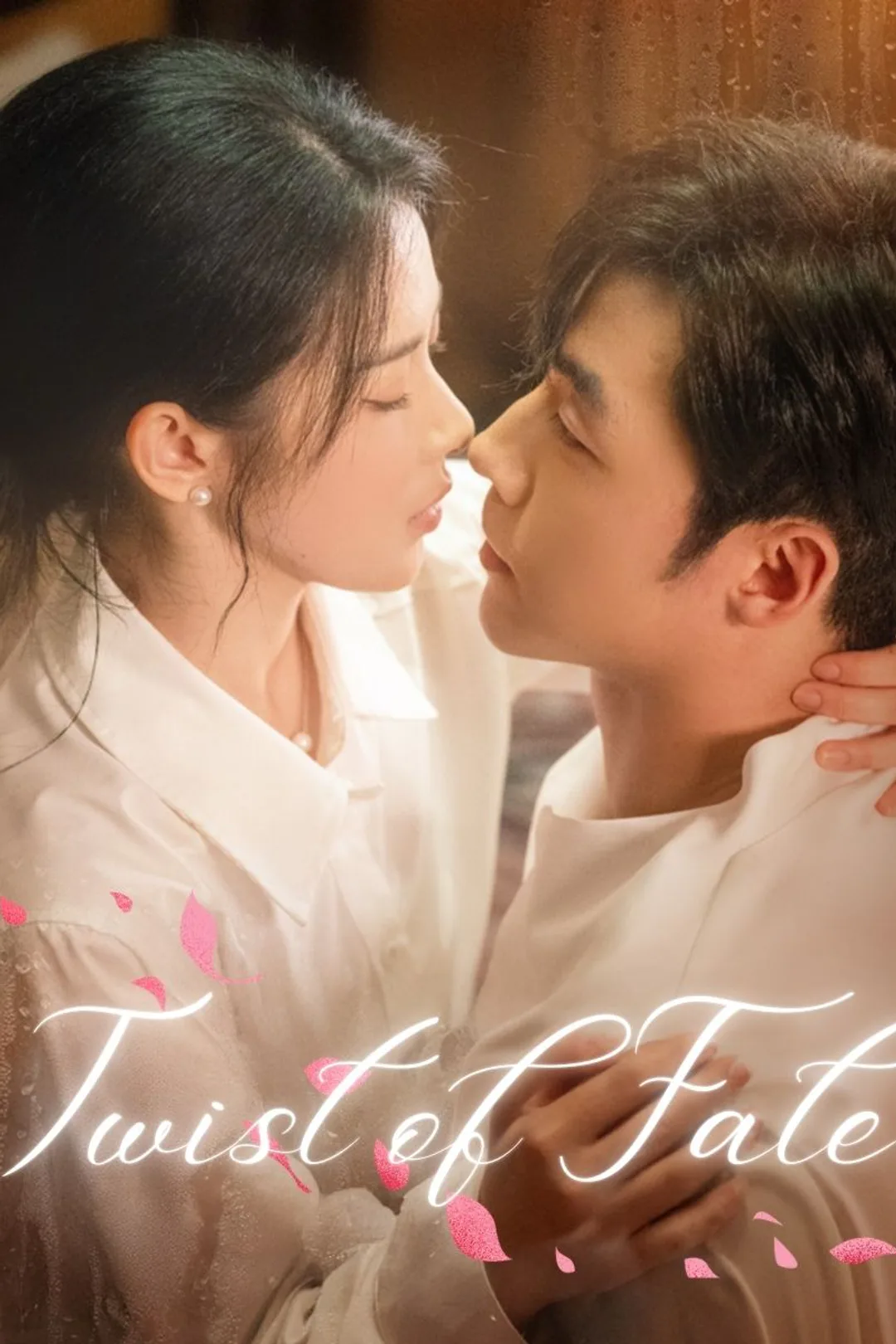 Twist of Fate poster
