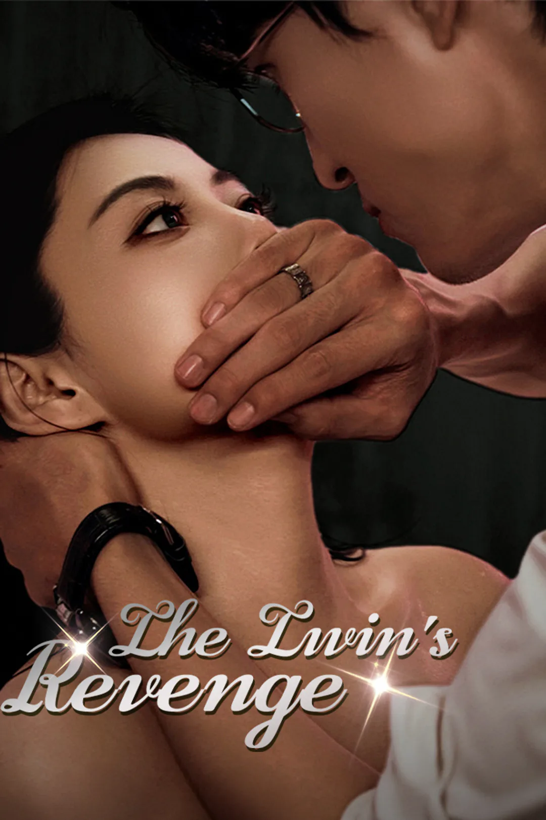 The Twin's Revenge poster