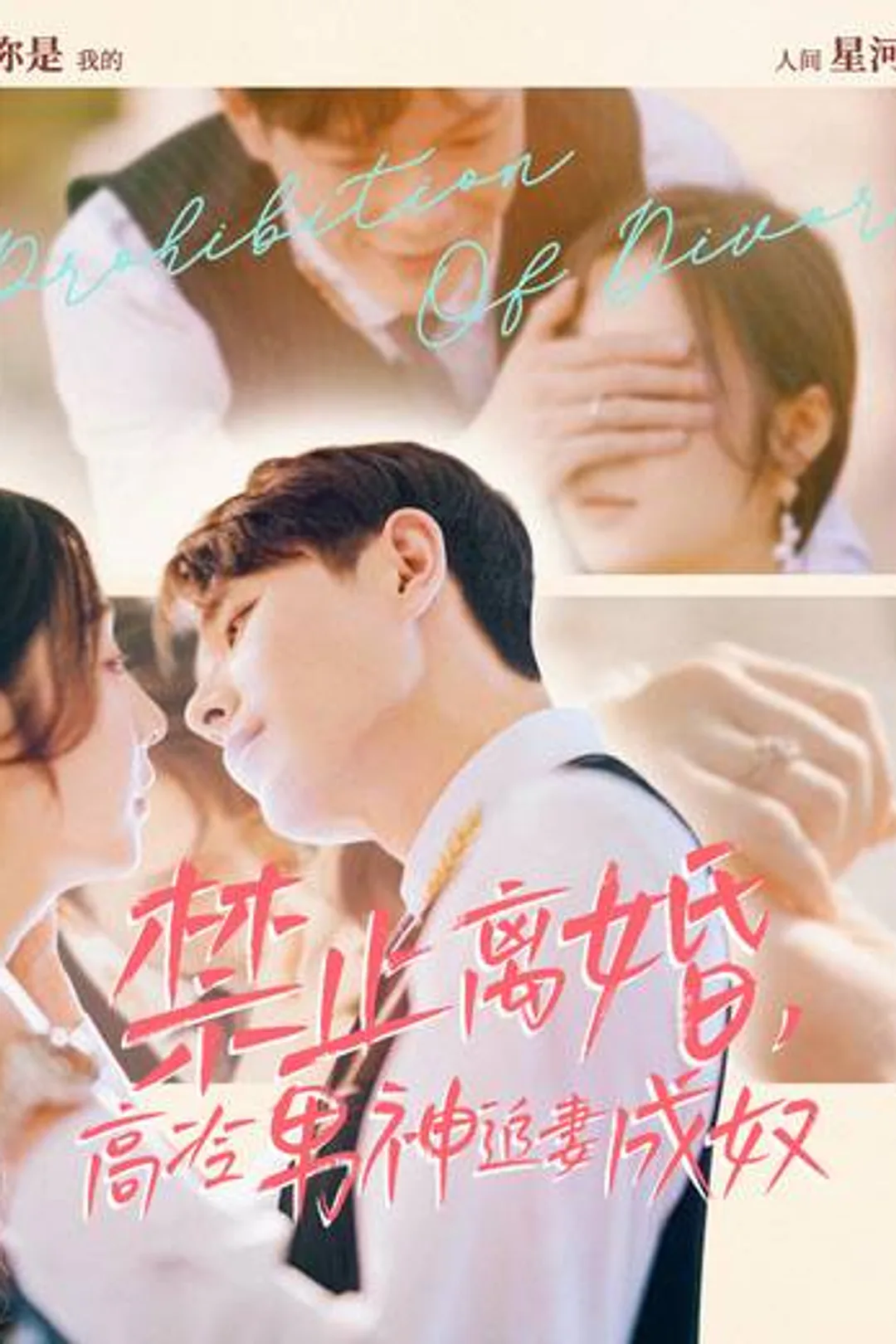 《禁止離婚，高冷男神追妻成奴》海報