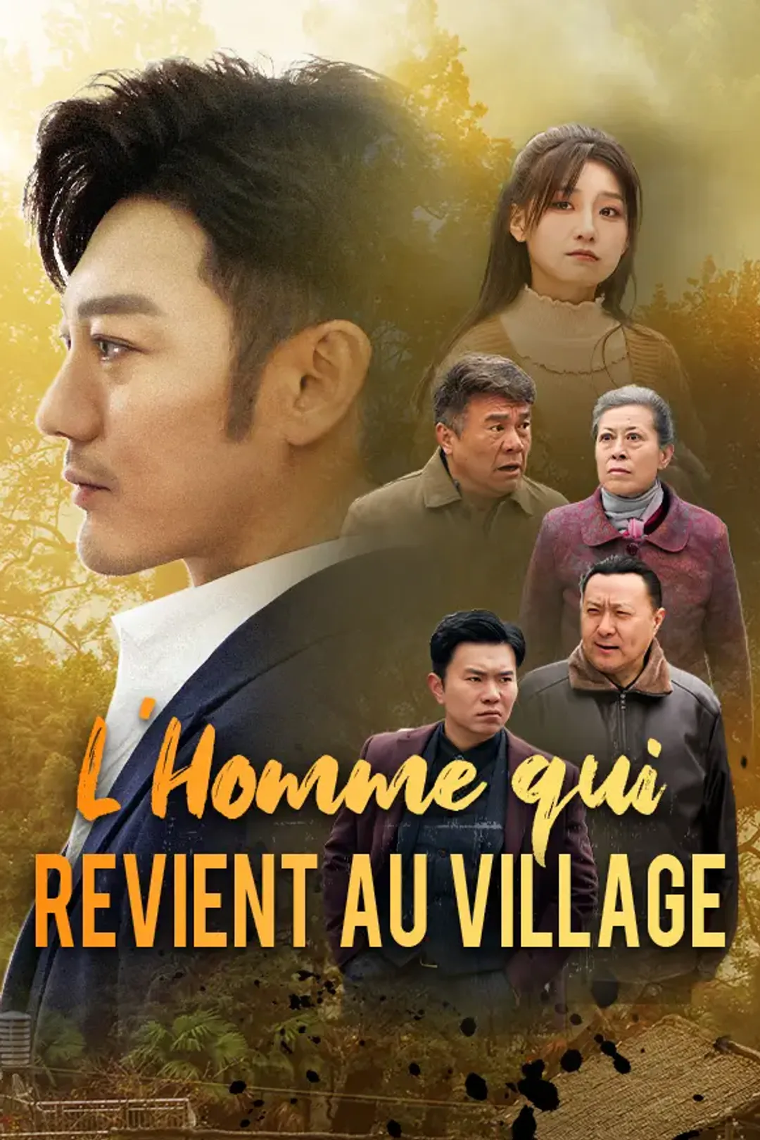 Affiche de L'Homme qui Revient au Village