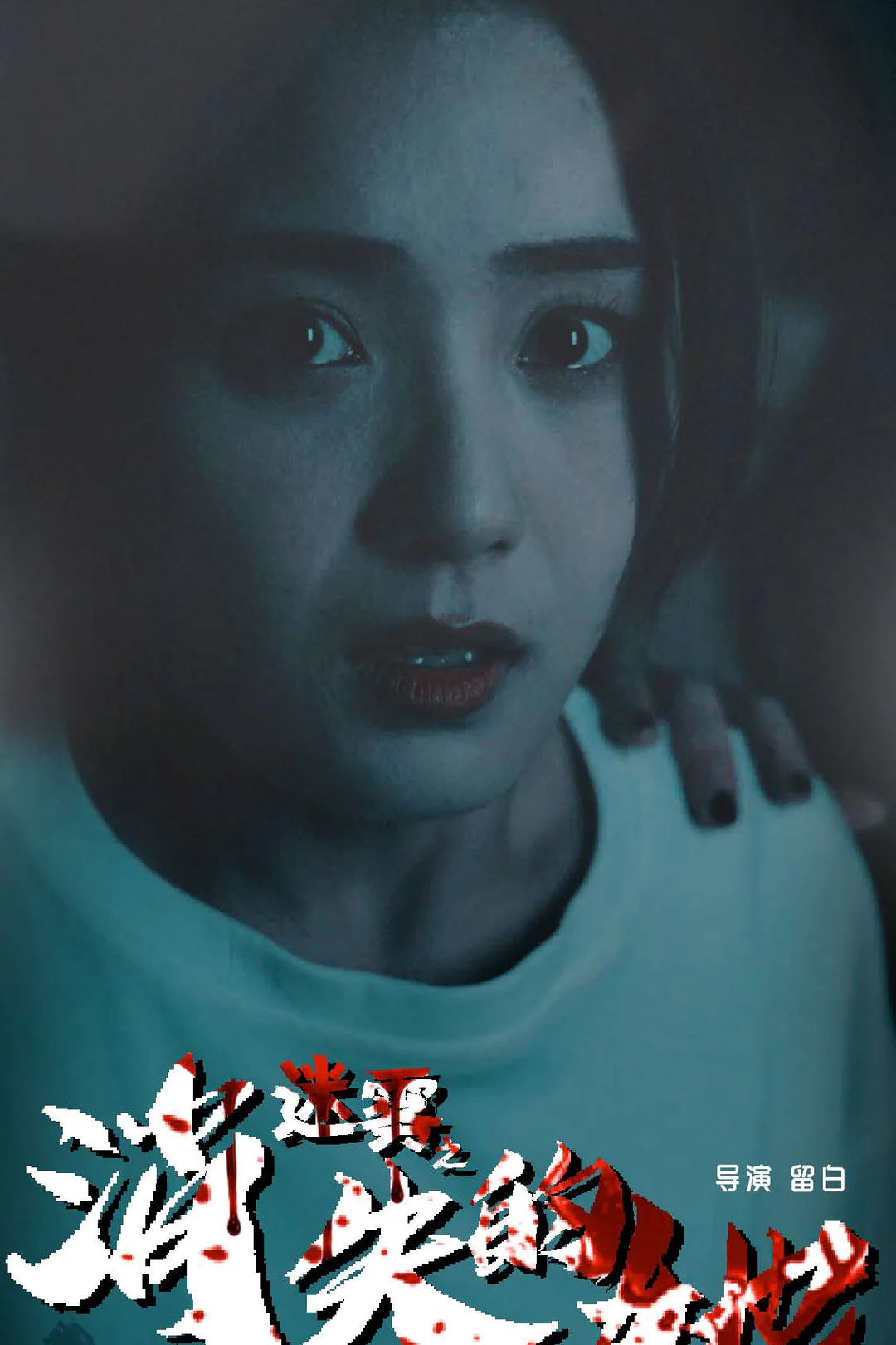 《迷雾之消失的她》海报