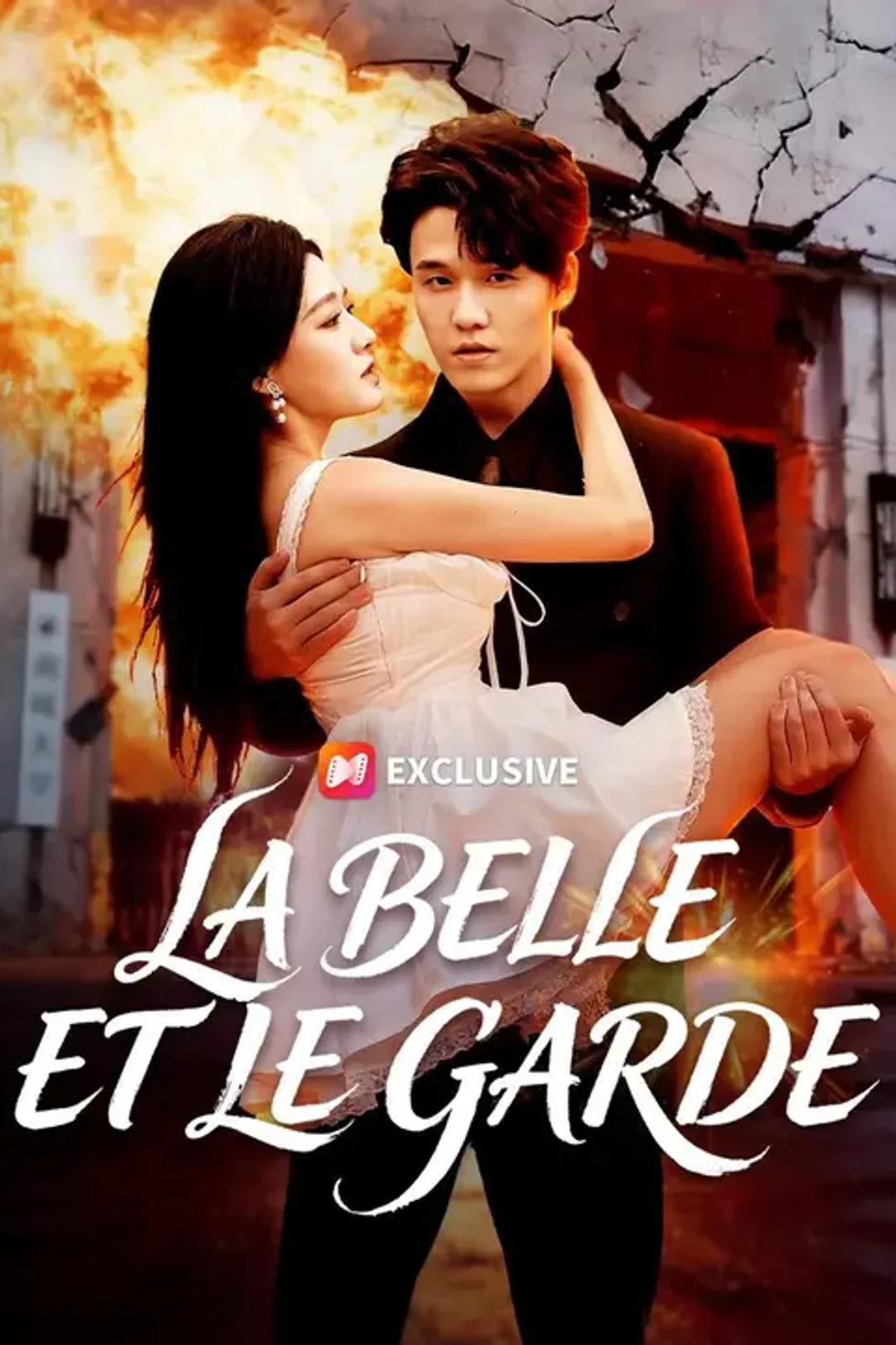 Affiche de La belle et le garde