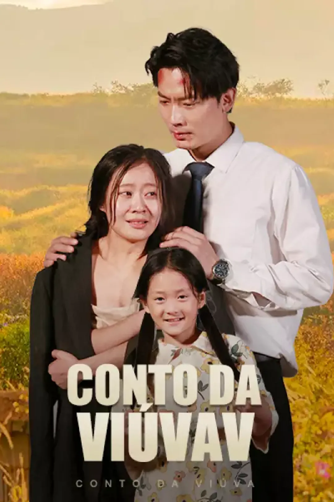 Pôster de Conto da Viúva