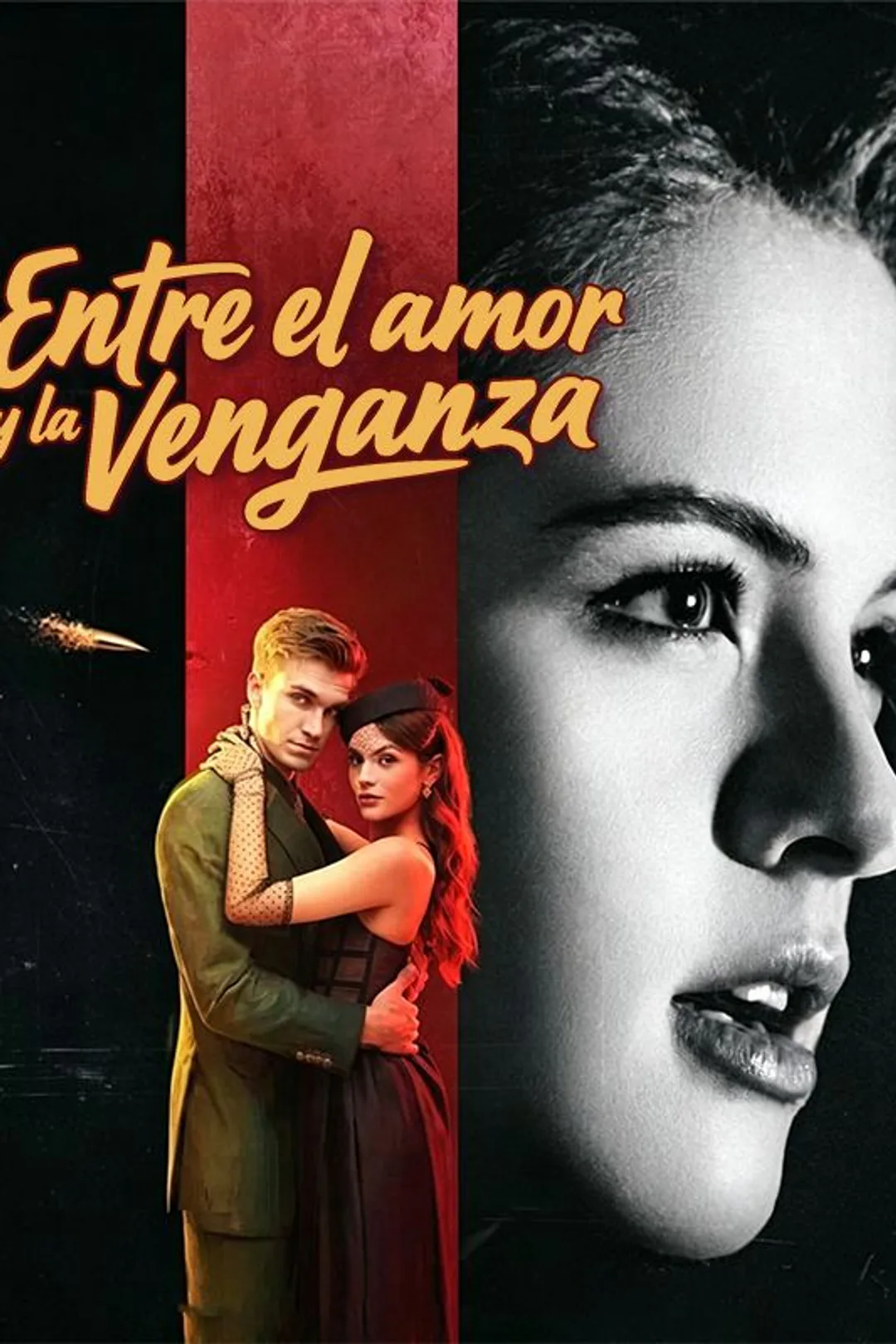 Póster de Entre el amor y la venganza