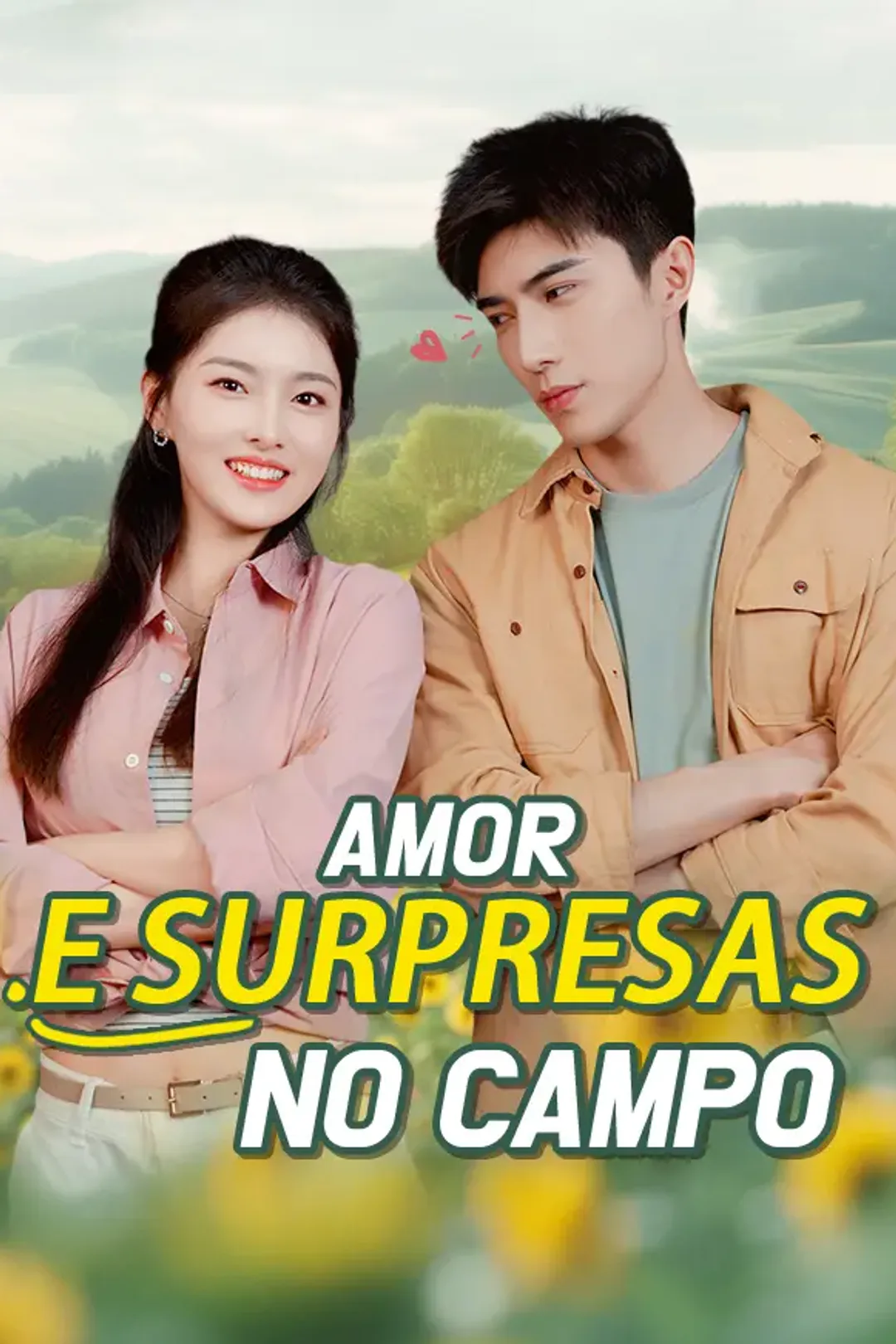Pôster de Amor e Surpresas no Campo