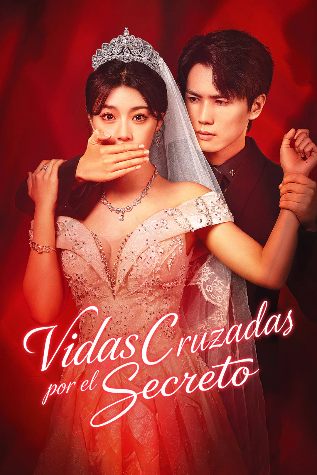 Póster de Vidas cruzadas por el secreto