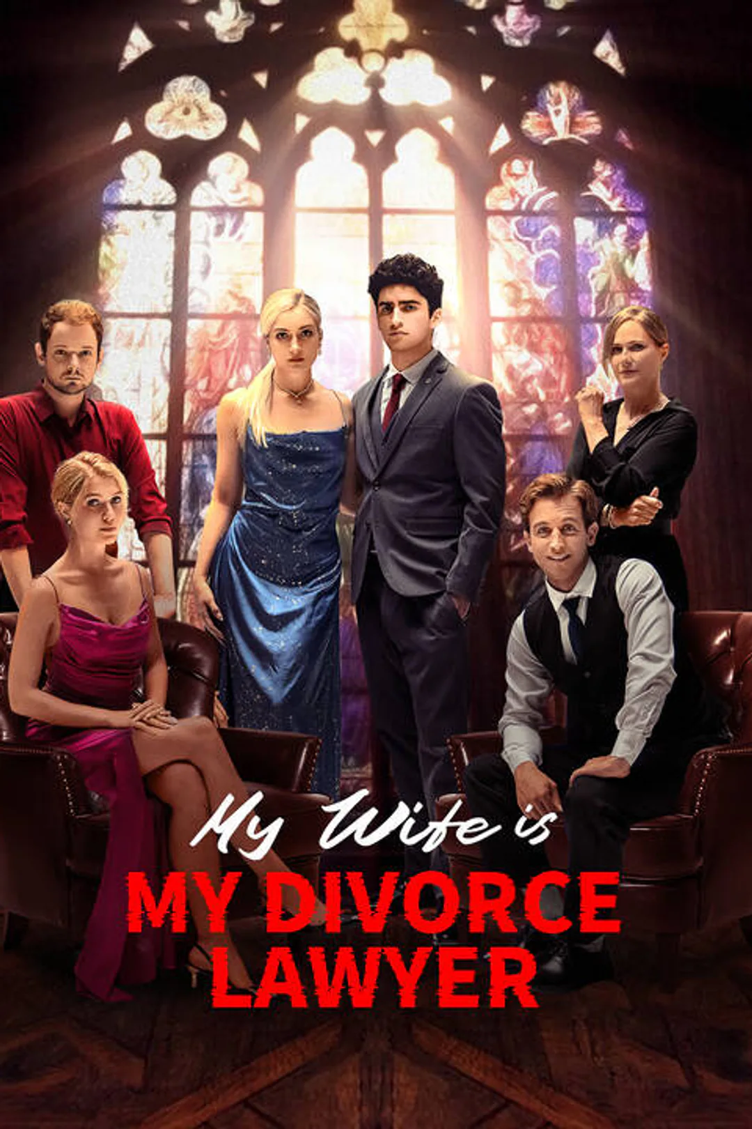 My Wife is My Divorce Lawyer poster