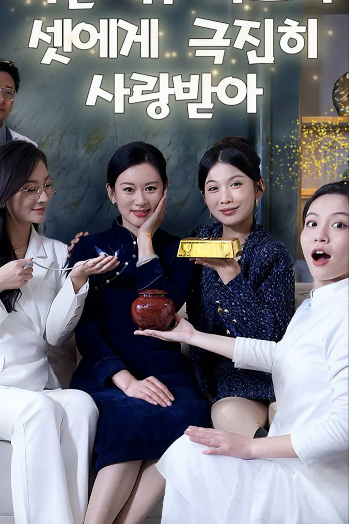 이혼 뒤 며느리 셋에게 극진히 사랑받아 포스터