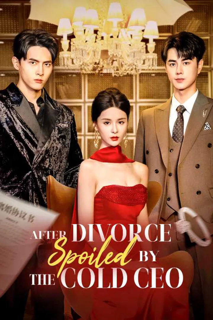 After Divorce, Spoiled by the Cold CEO poster