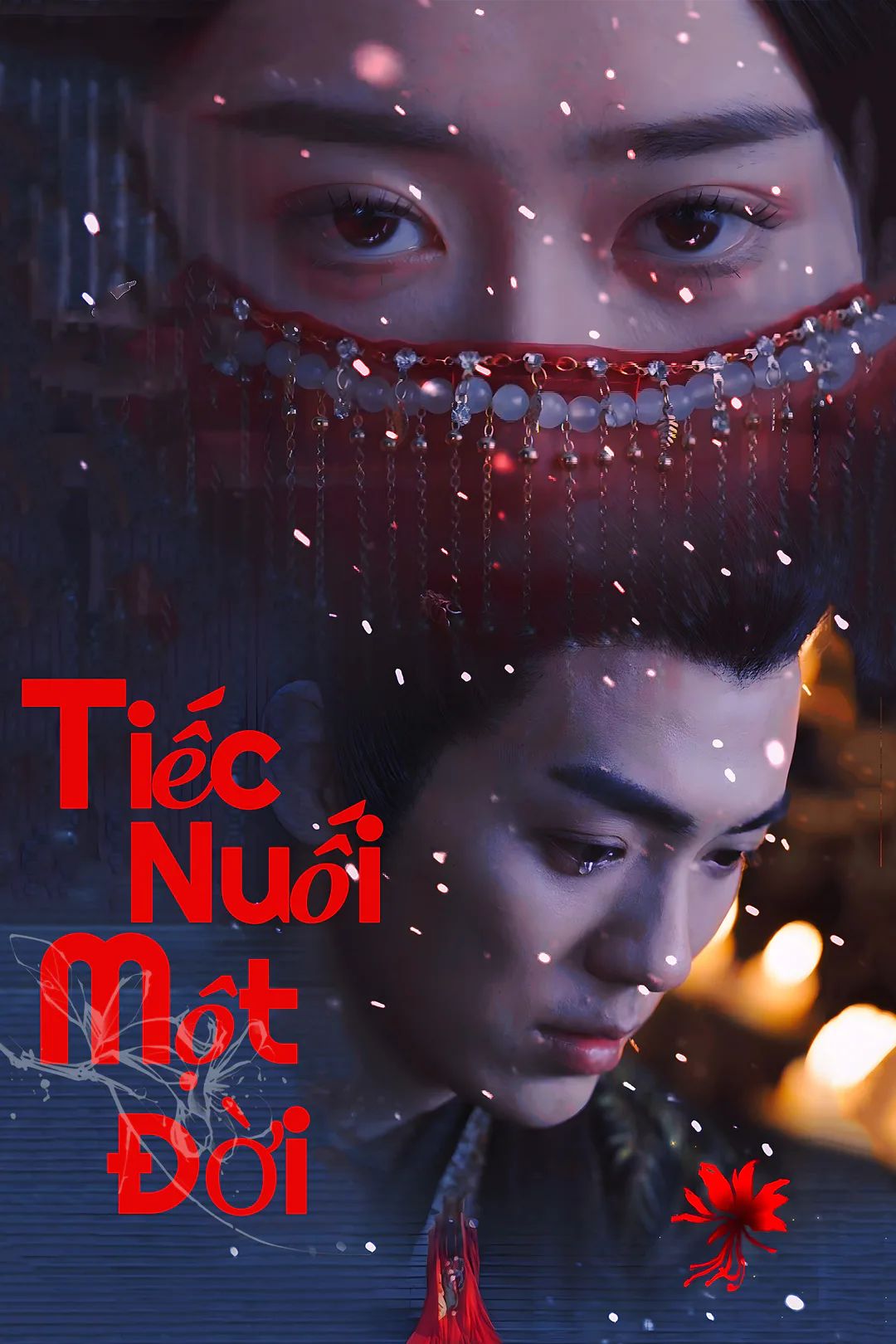 Poster phim Tiếc Nuối Một Đời